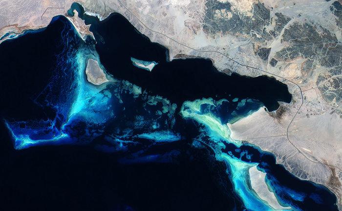 esa's tweet photo. Help wanted on tracking #biodiversity from space #sentinel2 
http://t.co/SUN2iiJ9So http://t.co/3p8g6zyauP