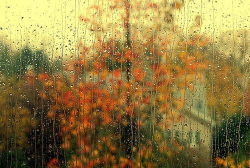 wikifrio's tweet photo. Otoño. http://t.co/96OGvJyg5H