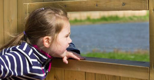 RWC2015Exeter's tweet photo. Challenge14- Learn about the beautiful birds found on the Exe Estuary #TryLearnDoExeter http://t.co/wRzosj7hej http://t.co/qJViXyKH5C