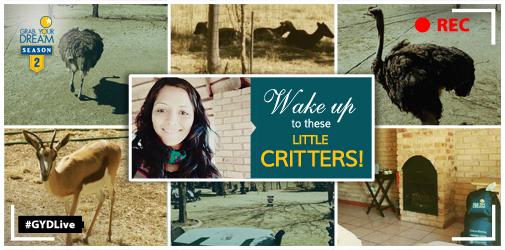 coxandkingsIN's tweet photo. What a wonderful morning it was for #TravelAdventurer @Wanderwomaniya in the company of #ostrich and #deer! #GYDLive http://t.co/uwHj8UXtDt