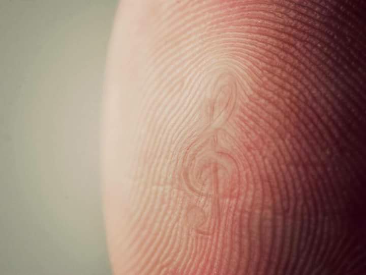 DucktusMusic's tweet photo. A todos nos va marcado la música a lo largo de nuestras vidas 🎼 http://t.co/7Izu0YSBUO