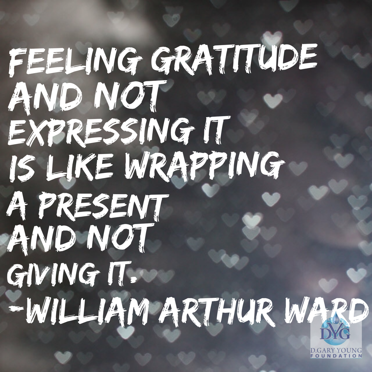 DGYFoundation's tweet photo. Feeling gratitude... http://t.co/WABD6nRmNQ