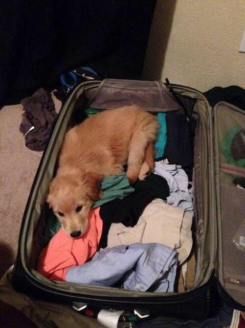 Packing for school like