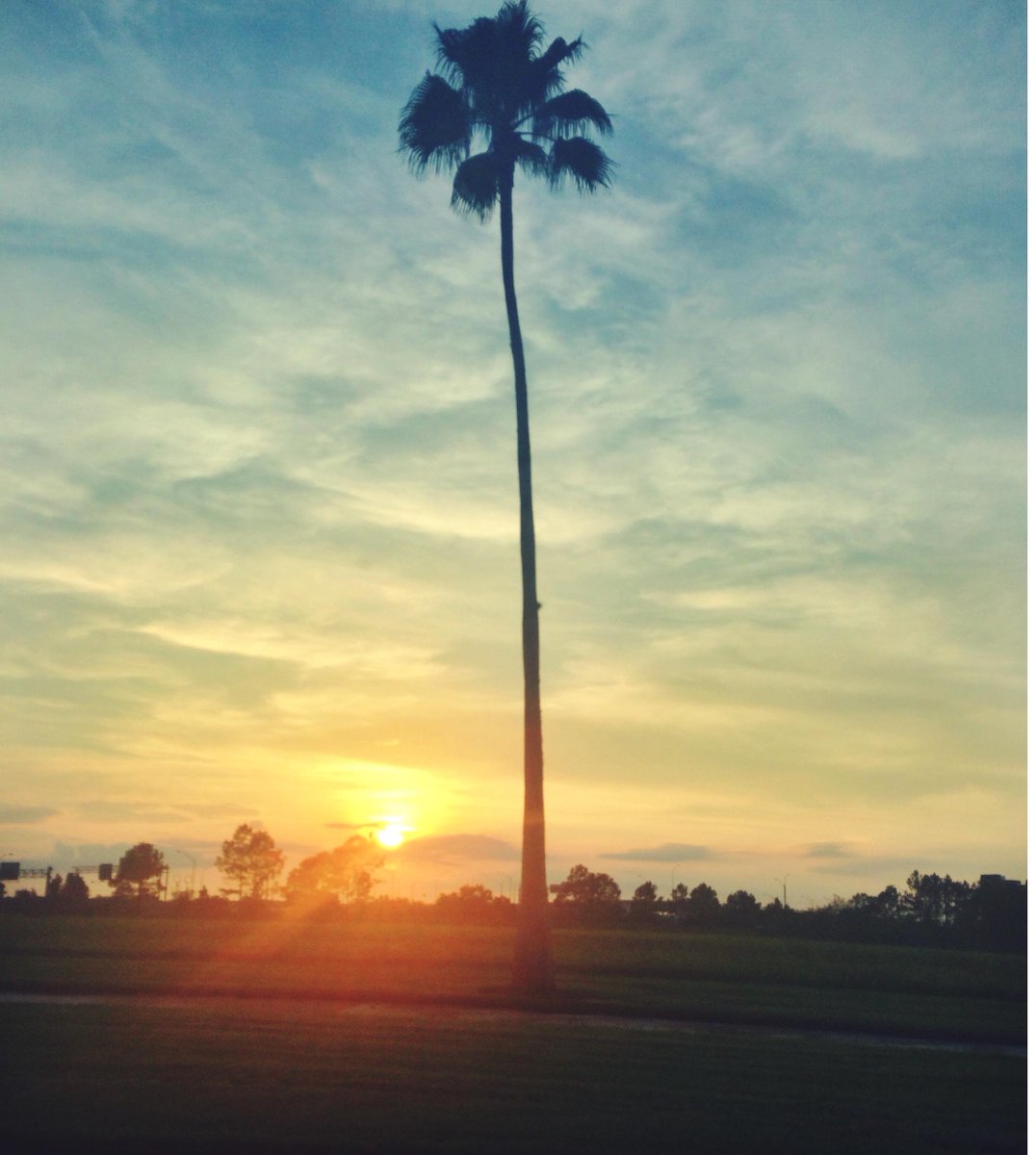 SamGrilloPhoto tweet picture