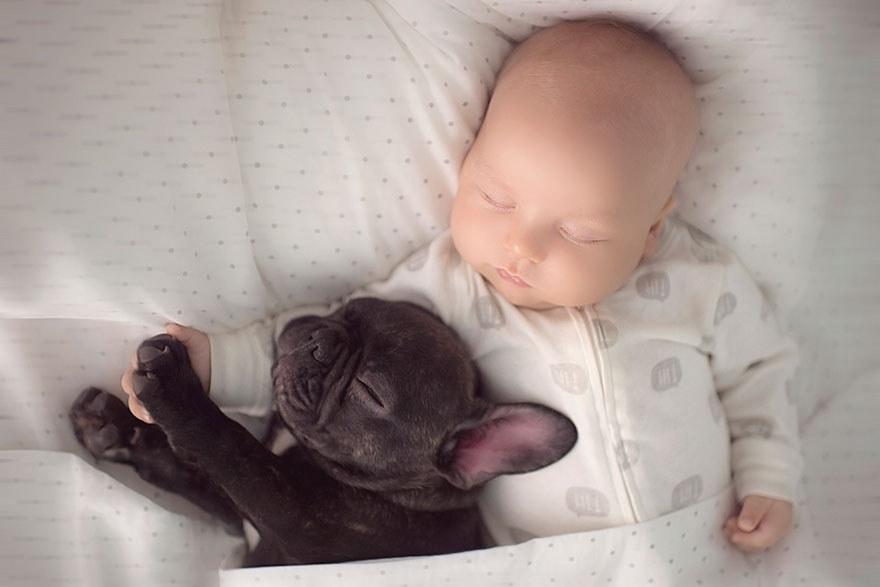 BuzzFeed's tweet photo. This baby and puppy born on the same day are basically brothers http://t.co/Et3vAWnuUR http://t.co/DYWf4qZmZp