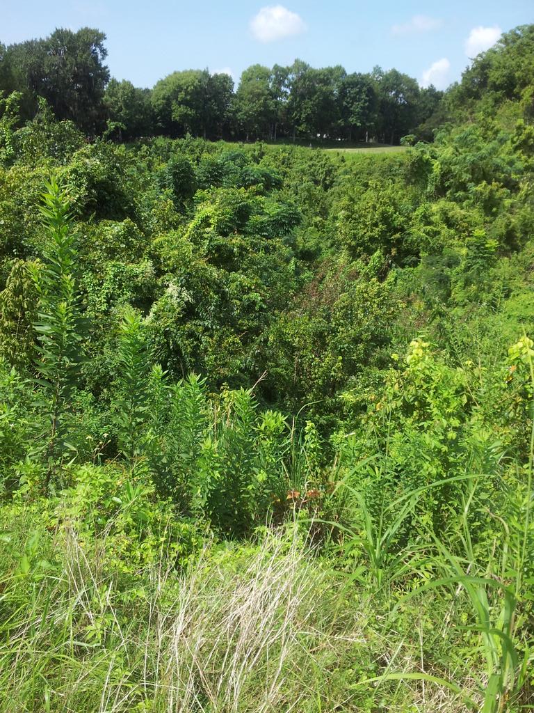 rmcmoneagle's tweet photo. Few pics from The Quarry Brooksville, FL http://t.co/2riWSKUOGB