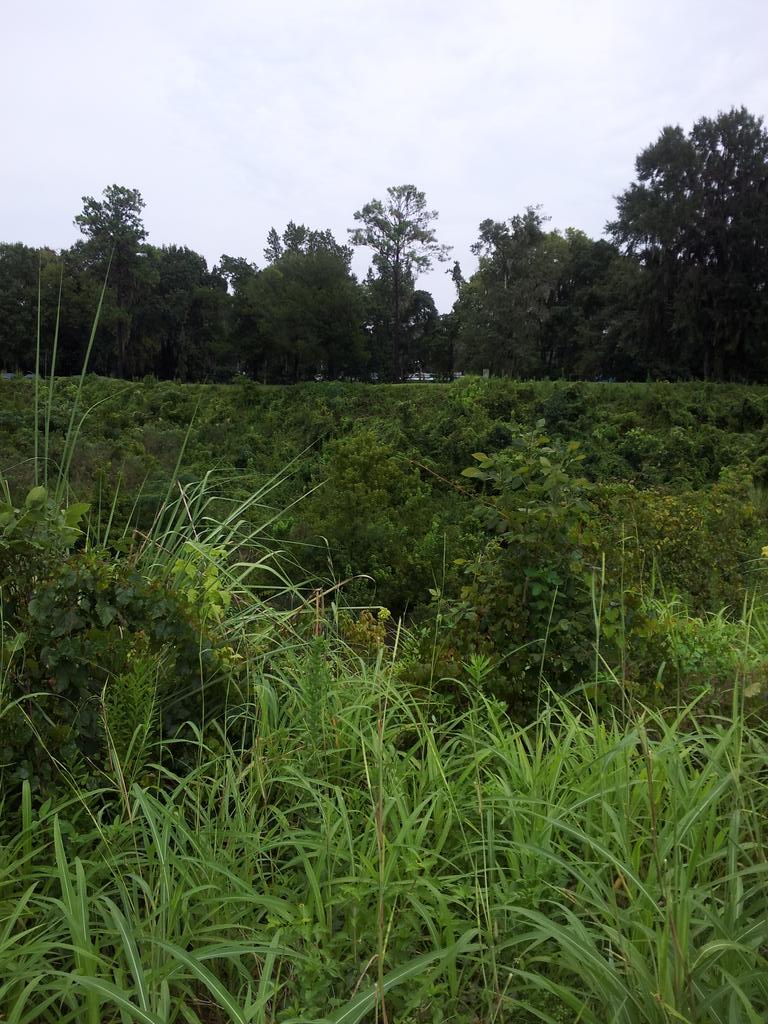 rmcmoneagle's tweet photo. Few pics from The Quarry Brooksville, FL http://t.co/2riWSKUOGB