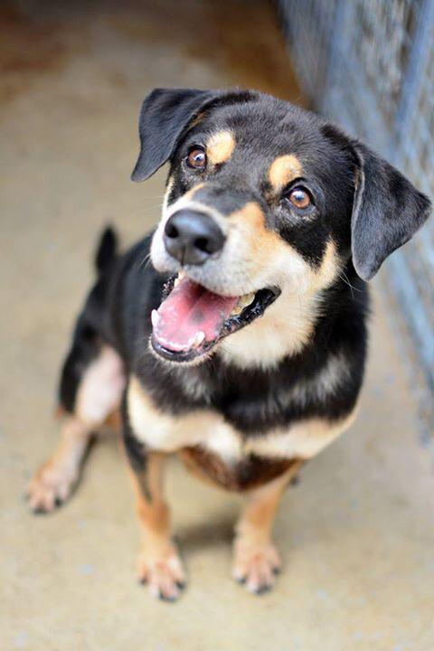 _OSCAS_'s tweet image. Hansonnn💓