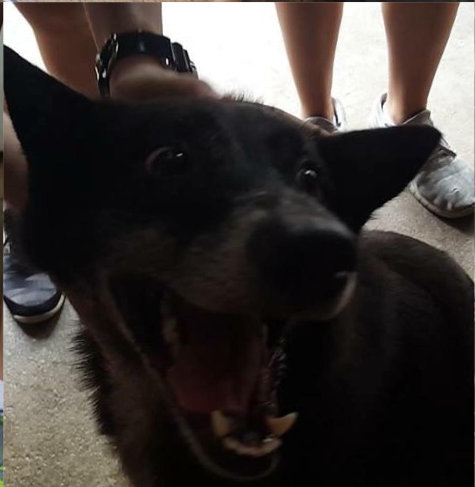 _OSCAS_'s tweet image. Gypsy