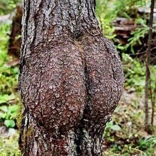 Q1075's tweet photo. Even Mother Nature wants this #BootyAttack to happen at 740am http://t.co/c0IlX5424v http://t.co/3TqTQSPnve