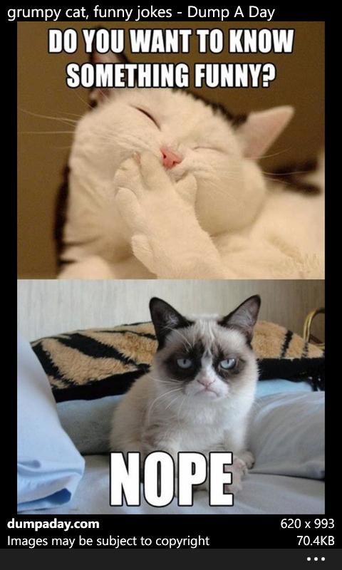 ____OPK's tweet image. 