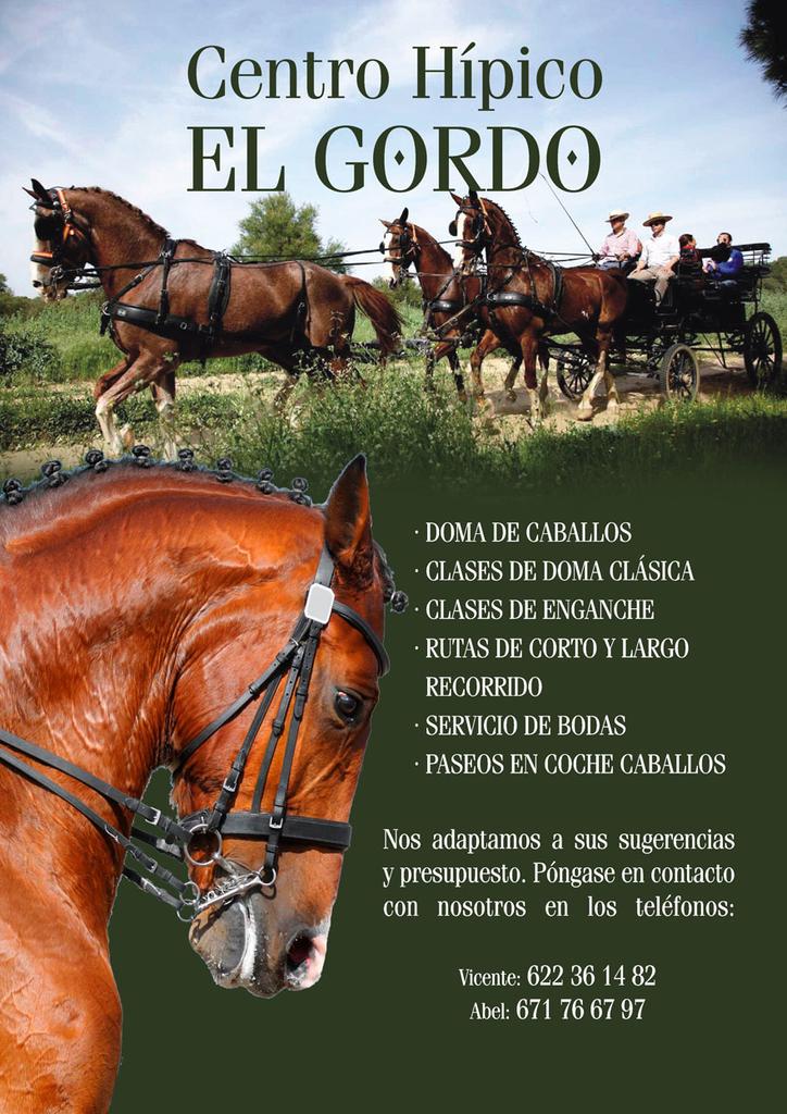abel1333's tweet photo. @ExtreTurismo Turismo ecuestre en el norte de Extremadura #RT http://t.co/koQKiG9AfD