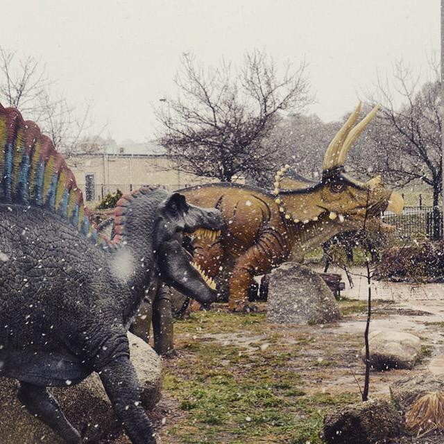 View image on Twitter