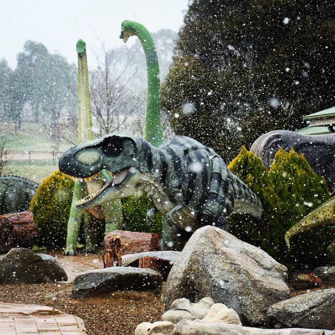 View image on Twitter