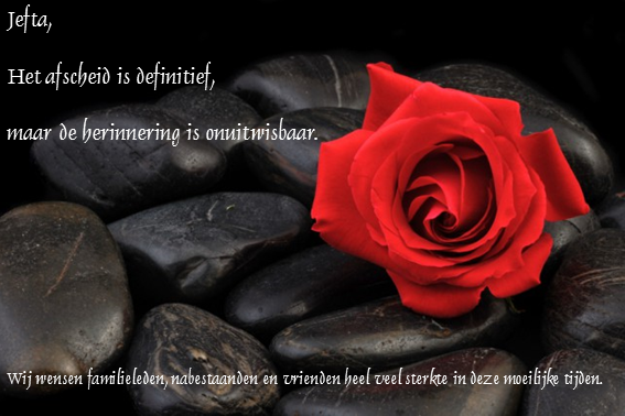 Gebroeders Borg (@gebroedersborg) on Twitter photo 