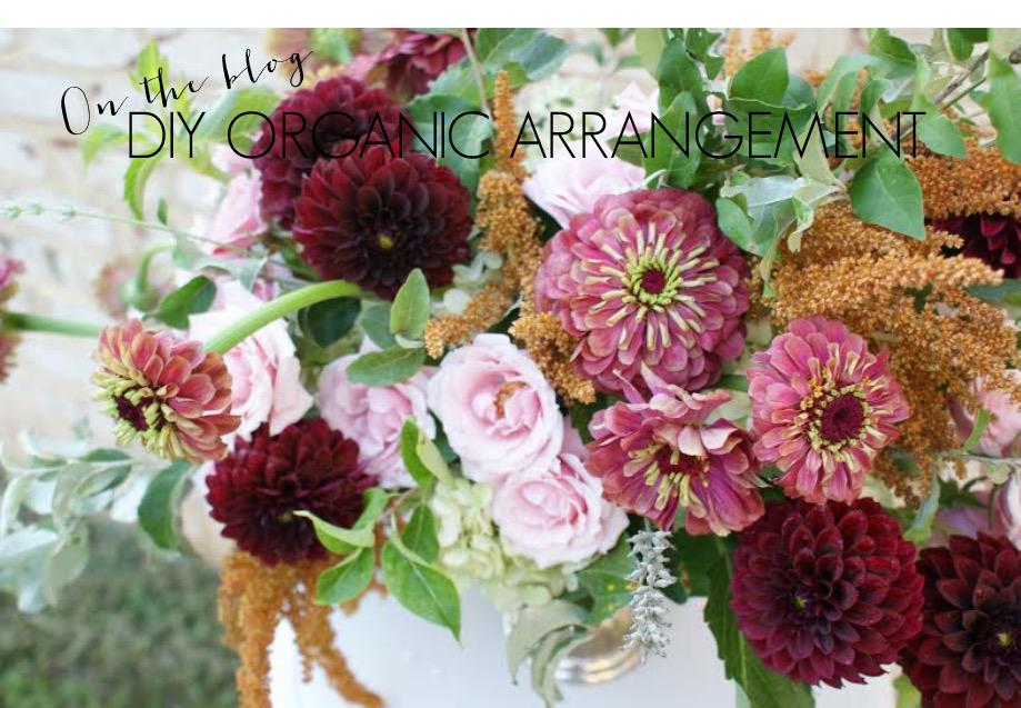 petalflowerco's tweet photo. Say goodbye to throwing flower bouquets in a mason jar with a DIY organic arrangement tutorial http://t.co/WHWM2yni8m http://t.co/pLQLbPlPet