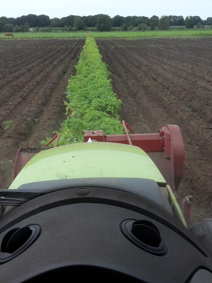 johan_emmens's tweet photo. Dat waren de #Aveka E voor dit jaar. Nog 37 ha andere rassen te gaan. Erg laat allemaal dit jaar. @AVEBEGroup http://t.co/ahEBupXxOa