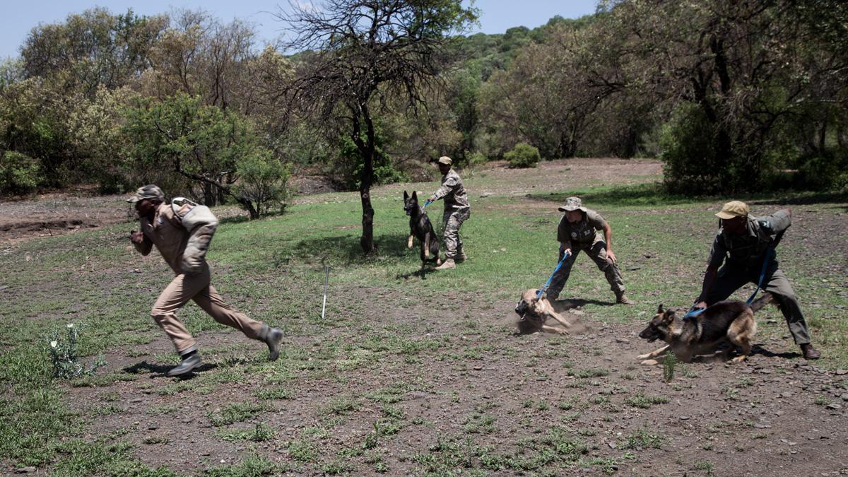 Heroes of wildlife wars. #WorldElephantDay <a href="/SavingSurvivors/">Saving The Survivors</a> <a href="/TheEWT/">Endangered Wildlife Trust</a> <a href="/WWF/">WWF</a> @NatGeoChannel <a href="/HISTORY/">HISTORY</a> <a href="/ewnupdates/">Eyewitness News</a> <a href="/AP/">The Associated Press</a>