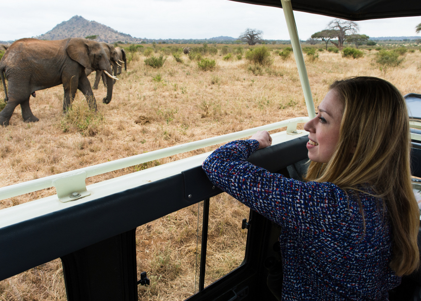 AOL's tweet image. For #WorldElephantDay, @ChelseaClinton speaks out on her fight to save the elephants: aol.it/1Tq2NAQ