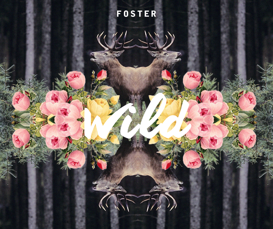 Fosterchile's tweet photo. Lo que más nos gusta es salvaje y natural #MundoFOSTER #wild #nature http://t.co/lqXehYClOj