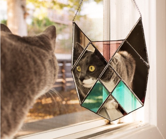catster's tweet photo. @Catster chats with @JanelFoo, who makes artsy cat mirrors using stained glass. http://t.co/brf8h9vrIm http://t.co/6GOR6E09Qj