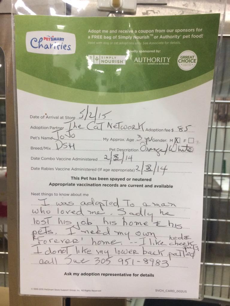 Schrody_Cat's tweet photo. The staff saw this adorable #Vanalike at #Petsmart - he needs a forever home. via #CatNetwork @vanalikes #Schrody http://t.co/DThZL687nB
