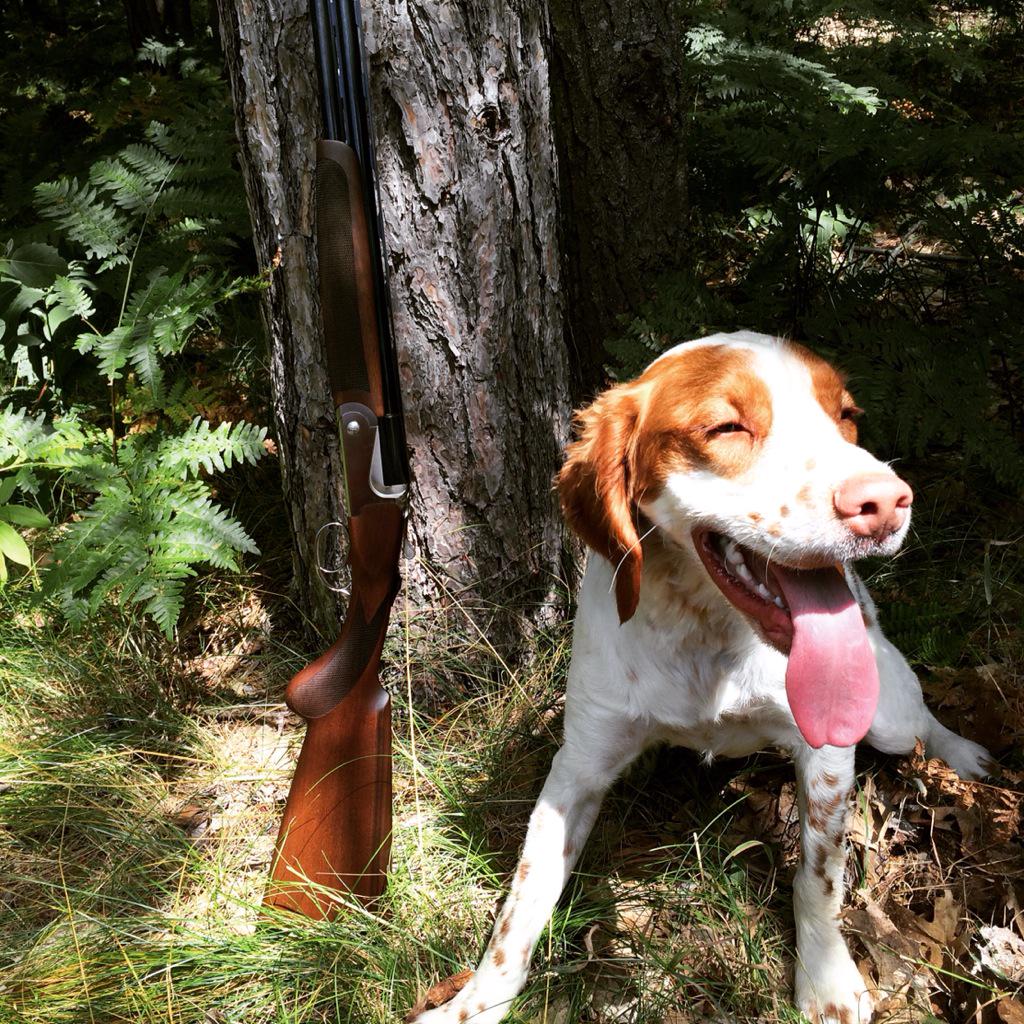 blacksmith_guy's tweet image. My hunting partners this season!