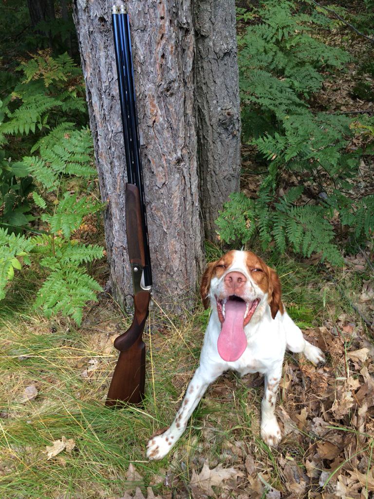 blacksmith_guy's tweet image. My hunting partners this season!