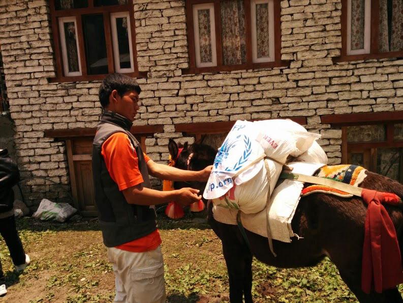 KAKA's tweet photo. My family’s home has been destroyed, I want to be with them, but I’m needed here. I’m joining @WFP. #ShareHumanity http://t.co/XSmx4HdivQ