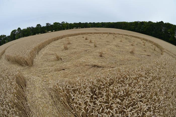 It's crop circle time! bit.ly/1DMYtnU
#Baydon #Wiltshire #cropcircles