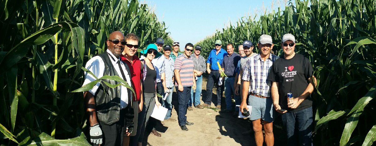 Village Travel tweet media