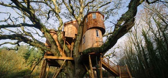 Venueseeker's tweet photo. Recreate that childhood magic and experience the wonder of living a top a tree  http://t.co/LILDdT1xXI #eventprofsuk http://t.co/bZG2ogwV1r