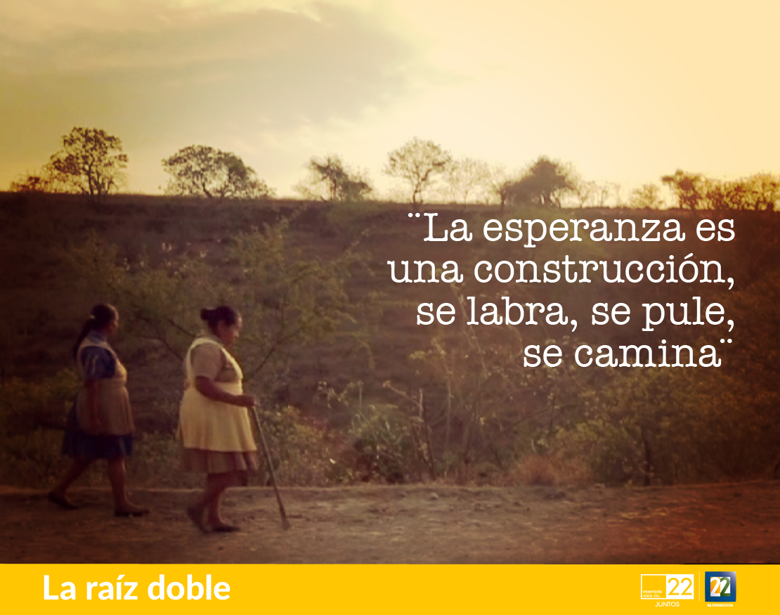 Canal22 tweet picture