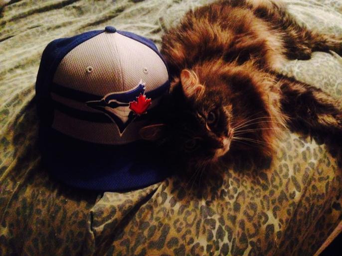 sportamphetamin's tweet image. @BlueJays the #jays r so hot they're even picking up deferent species of fans #bluejays #shootingfor10 #gojaysgo #mlb