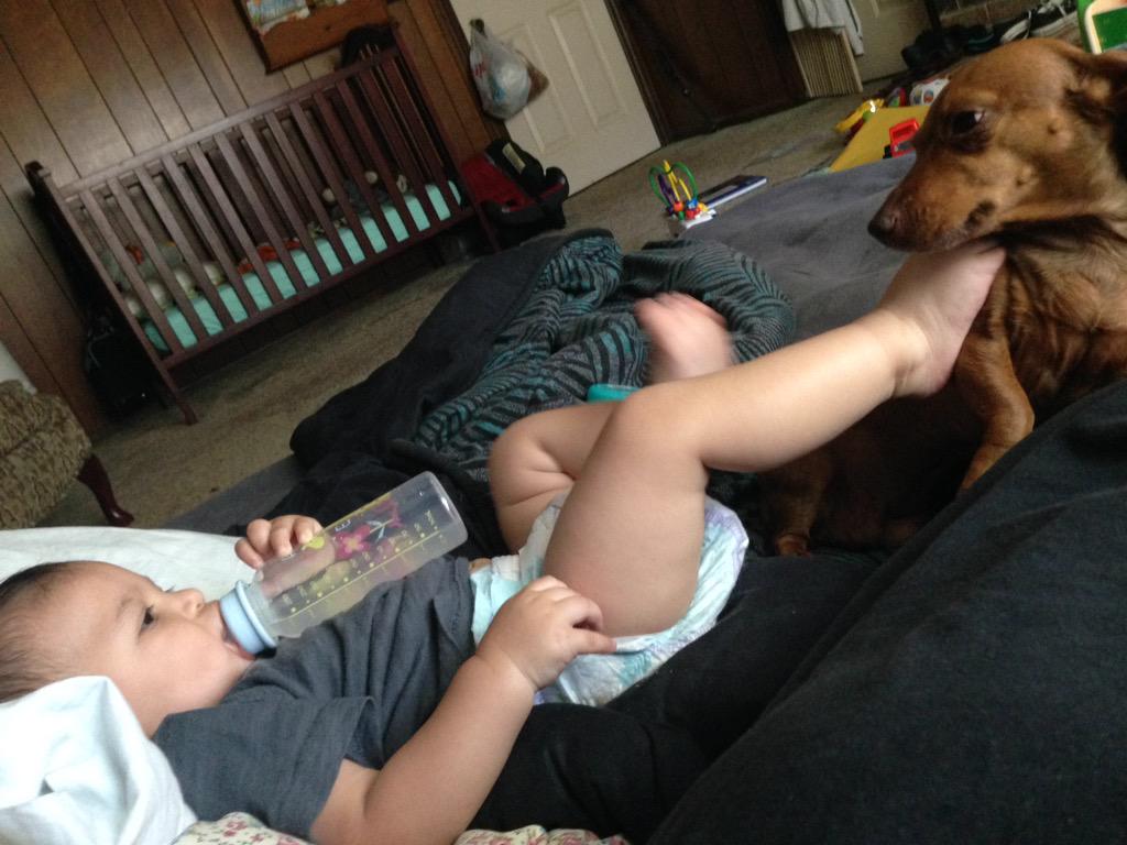 ShannonProctor_'s tweet photo. Cloudy With a Chance of Meatballs
......Noah &amp; my weiner http://t.co/EtKwk3MaSu