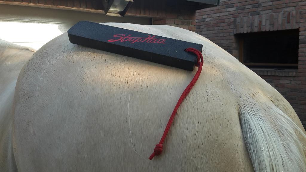 SandyGraceB's tweet photo. @striphair is perfect for any grooming and washing. .. sooo easy so Amazing 😍#feartheyellowhorse #striphair #clean http://t.co/2Kz0kBk4lh
