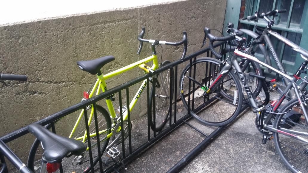 DickWilliams's tweet image. Well, someone is feeling very special today. #weworkfortpoint