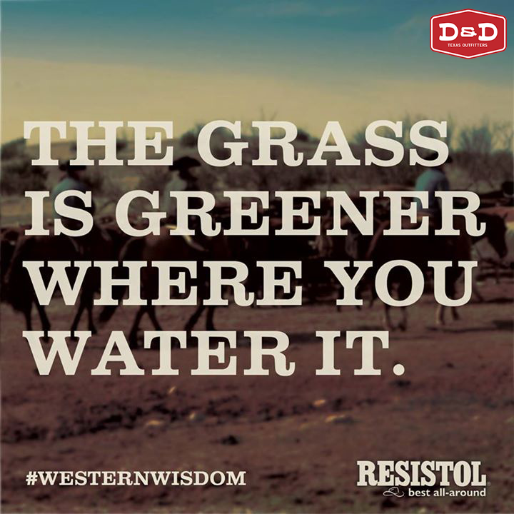 DDTXOutfitters's tweet photo. The grass is greener where you water it. #WednesdayWisdom #WesternWisdom @DDTexOutfitters http://t.co/KLWUr5aGFD