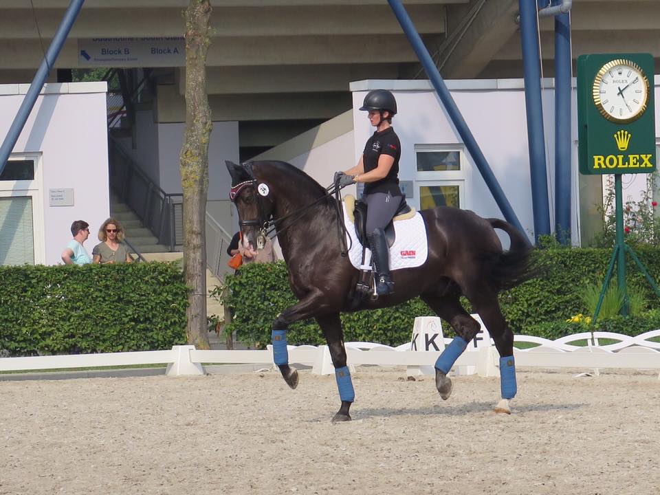 GAIN Equine Nutrition tweet media