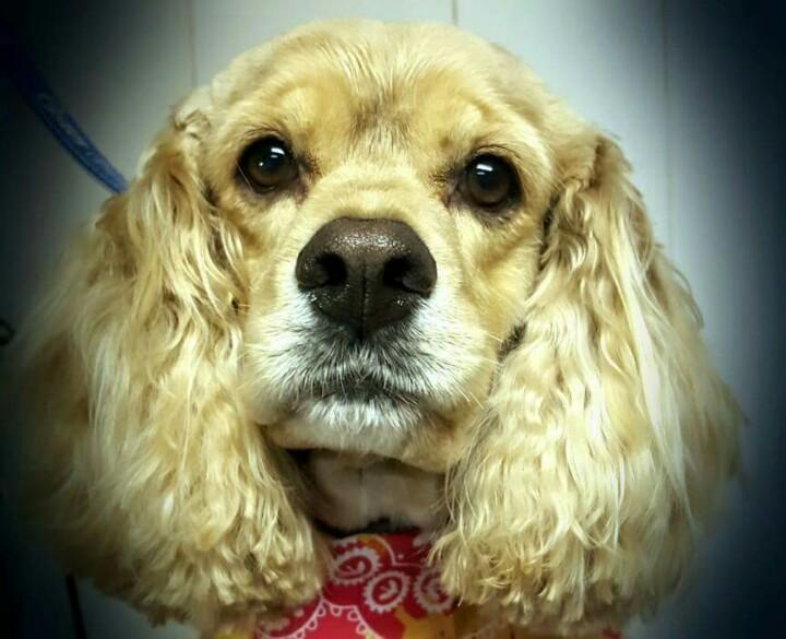 StainInMyGlass's tweet image. 