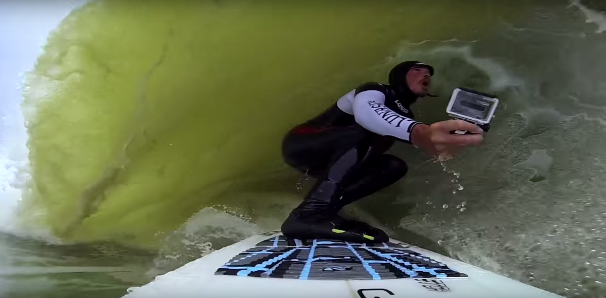 AnimalUK's tweet photo. Check this out: https://t.co/fdL0wlGWho we've got serious #WaveEnvy http://t.co/njO4hs4JUJ