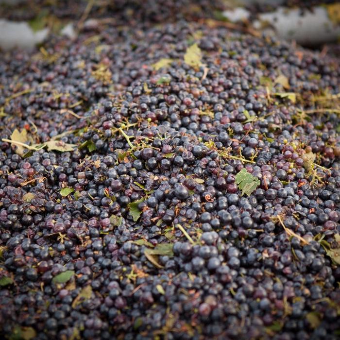 'A Chemist Is Turning Wine Waste Into Biofuel'. Drink more &amp; save the planet! #winewednesday 

bit.ly/1W4clQI