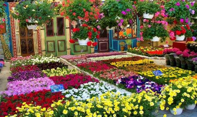 #nujardin #florist #flowers