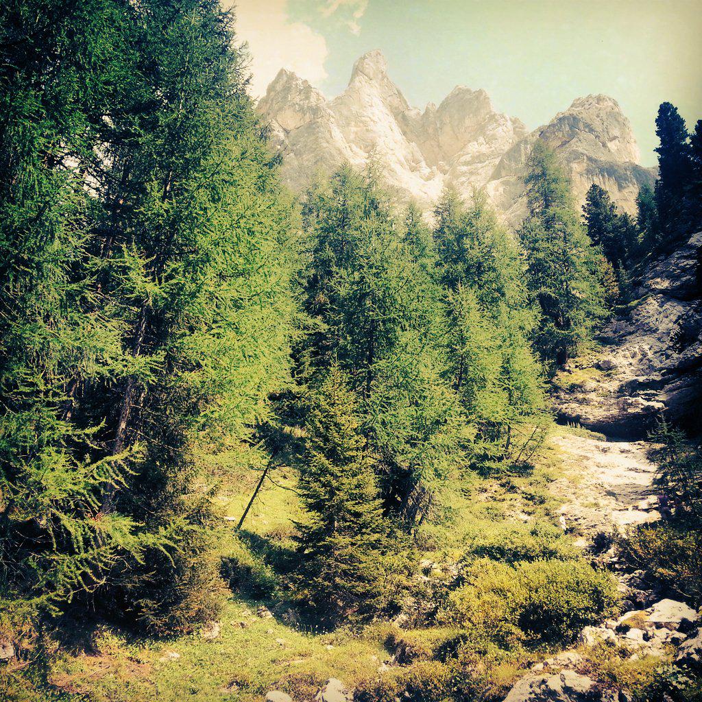 valdifassa's tweet image. we love mountains @buongiornofassa #contrin @DolomitesUNESCO @VisitTrentino @DolomitSuperski @TrentinoOutdoor