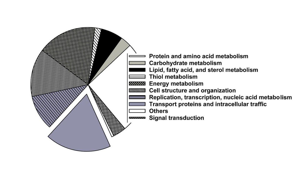 veupathdb's tweet image. Contractile vacuole proteome now in #TriTrypDB
PMID_21437209
explore the data: tritrypdb.org/tritrypdb/im.d…
