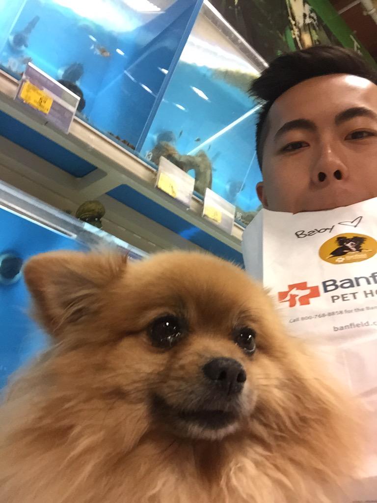 _nancypeng's tweet photo. Baby crying tears of joy after Ryan picked him up from the vet 😭 http://t.co/q8iHw4fL72