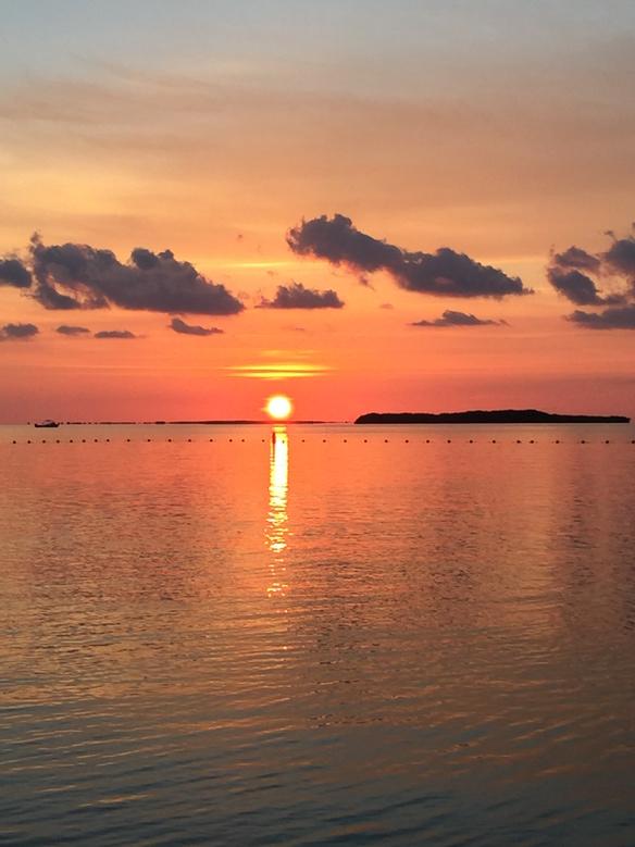 KarrissaH's tweet photo. #keylargo #peaceful #keyslife http://t.co/I5SJwA1uKU