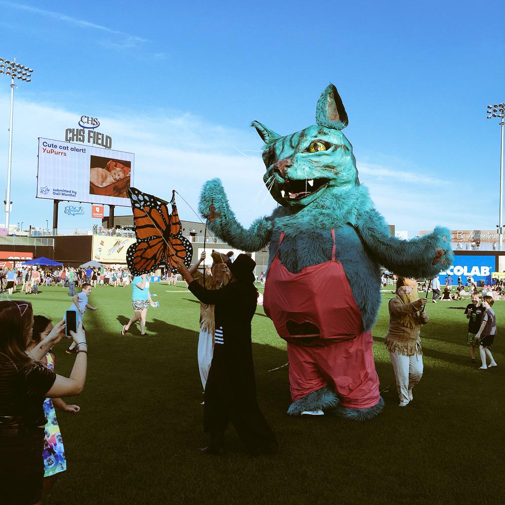 #catvidfest tweet media