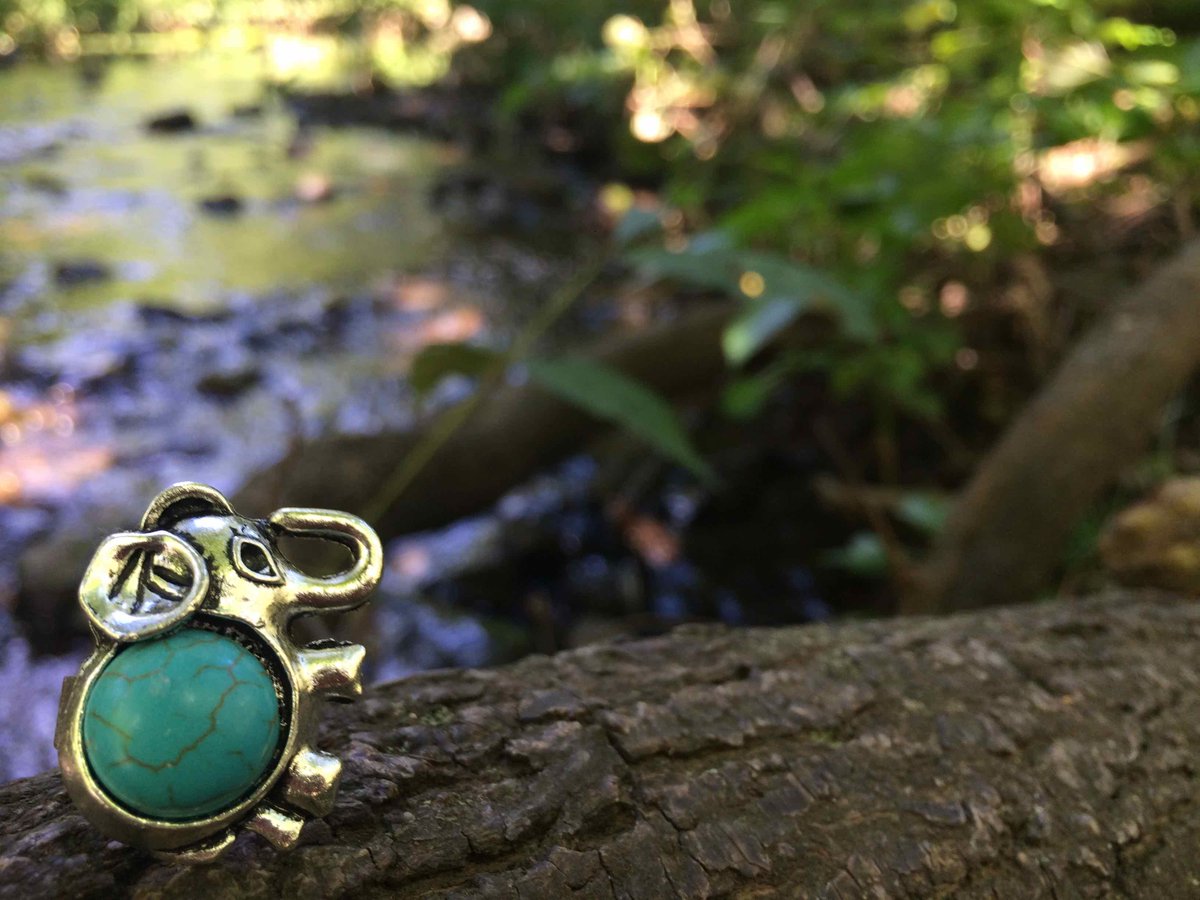 CoraLifeSupport's tweet photo. Get your turquoise elephant ring today! 10% of every sale is donated to conservation efforts!

http://t.co/Skhc0BKMPt http://t.co/6yGpOQEbF6