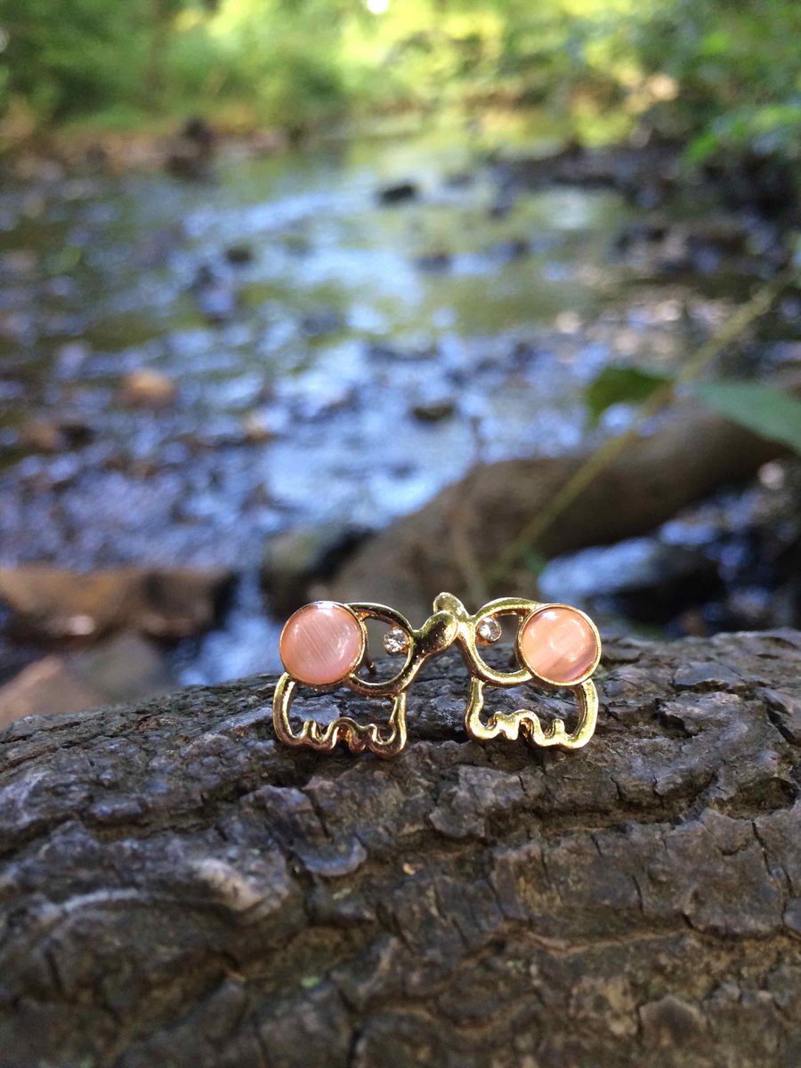 CoraLifeSupport's tweet photo. Happy #WorldElephantDay! 

Get your elephant earrings today! http://t.co/yE3Y0pxTKp http://t.co/vVnyDoKo0u